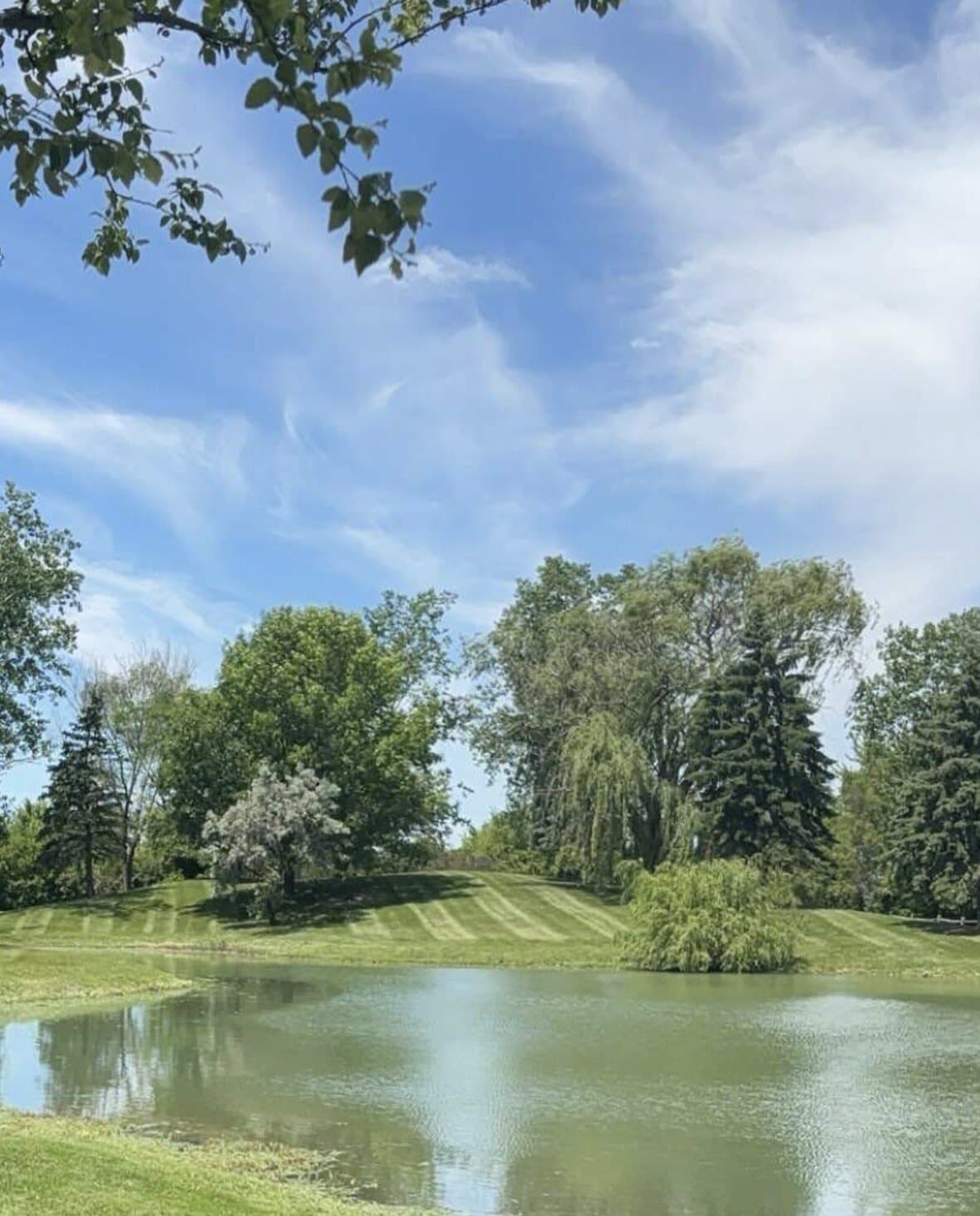 Clean Edge striped estate lawn beside a pond