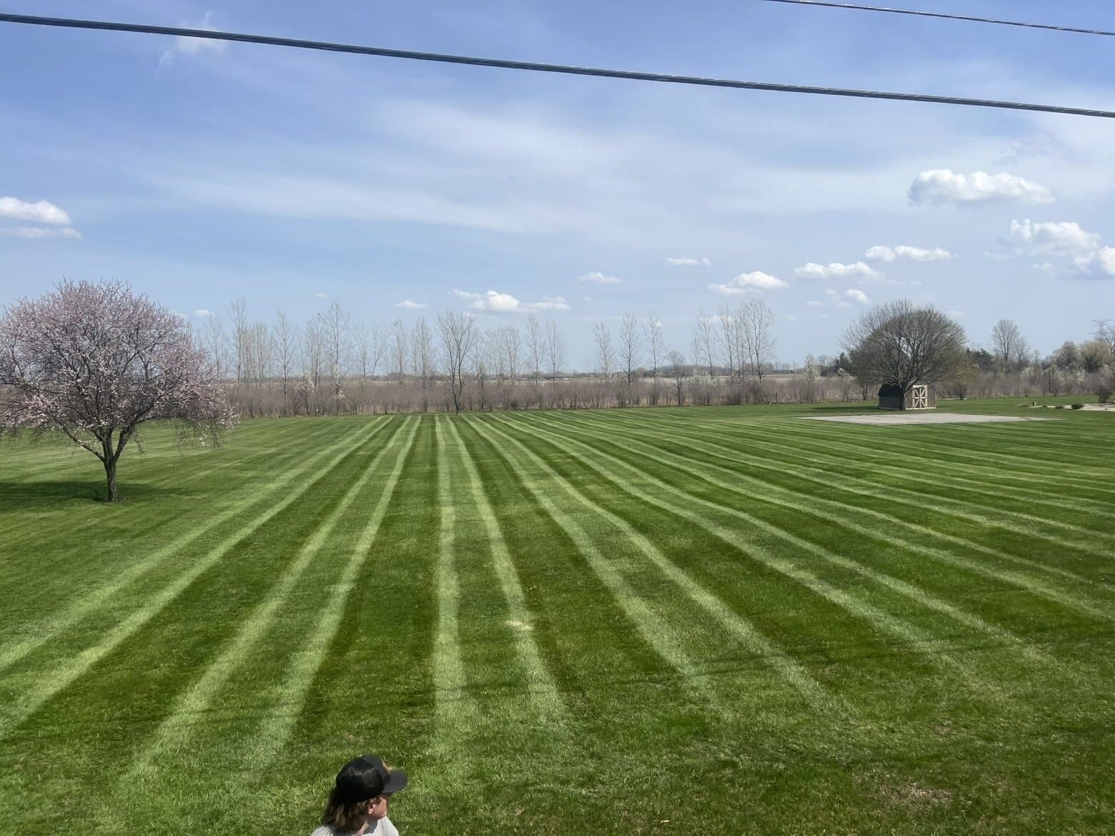Clean Edge striped finish across a large lawn
