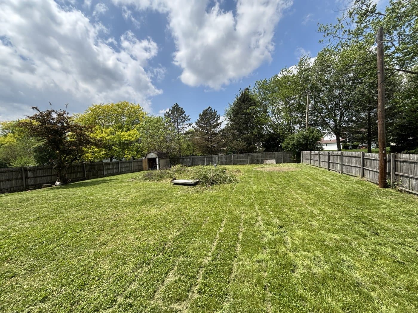 Large backyard after Clean Edge cleanup and mowing service