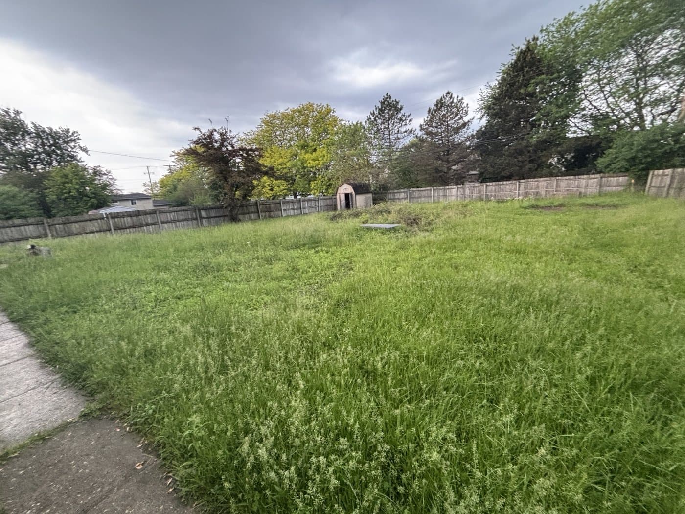 Large yard before Clean Edge property cleanup service