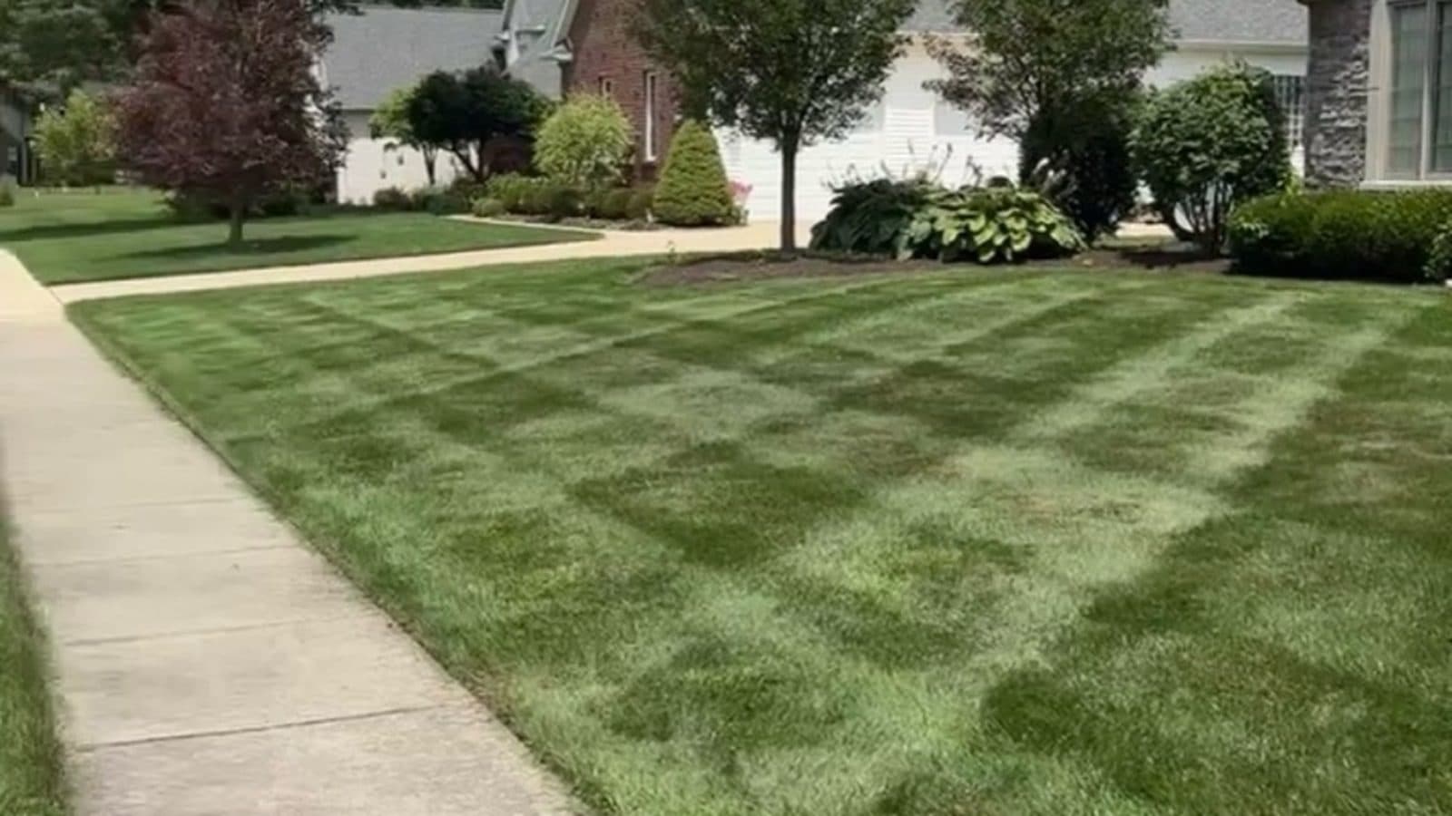 Clean Edge lawn service with a striped finish