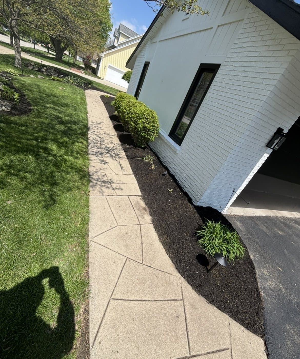 Detailed landscape bed and trimmed shrubs along a residential walkway