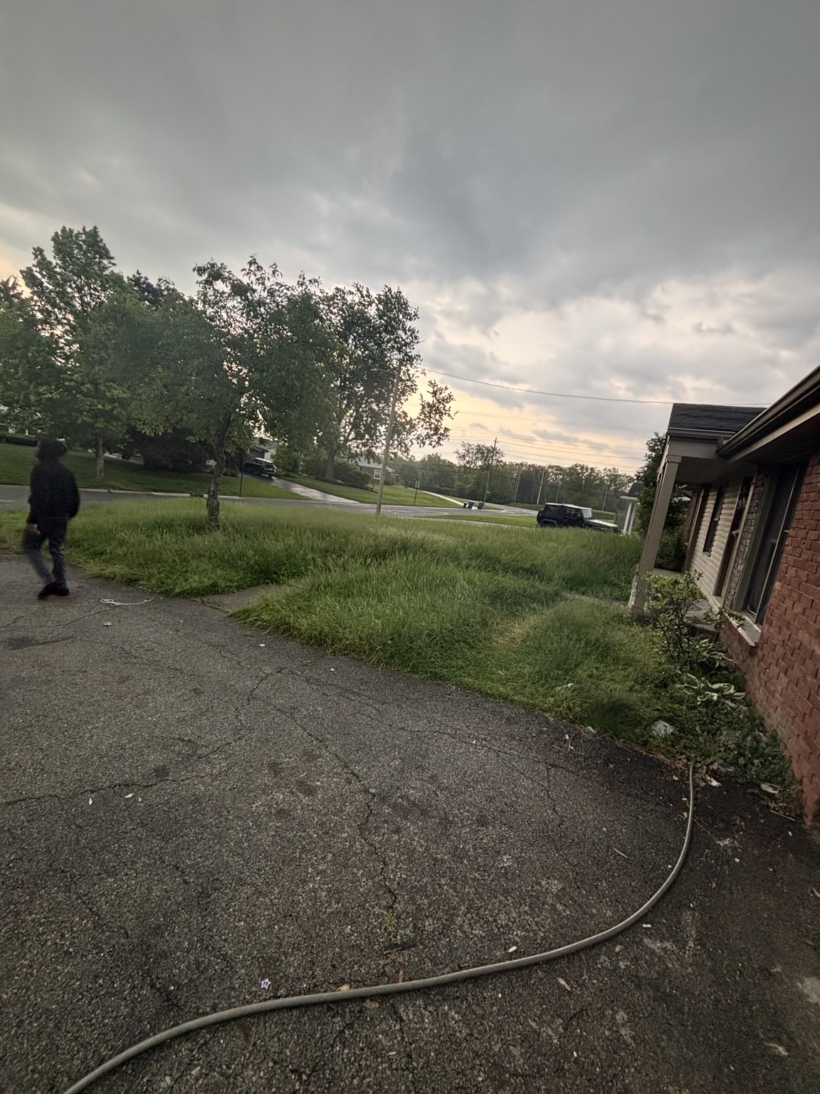 Overgrown lawn before cleanup service