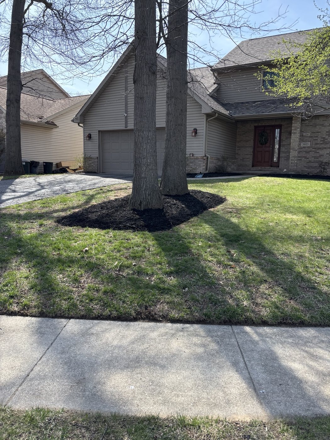 Fresh mulch around large trees