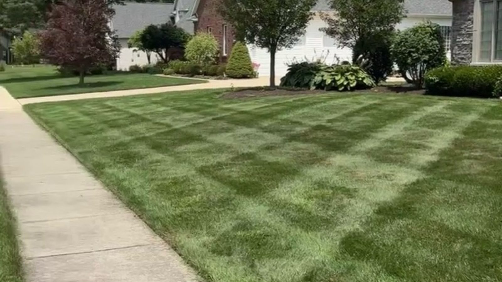 Striped lawn photo